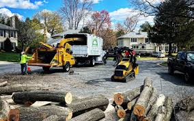 Leaf Removal in Lewisport, KY